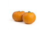 Organic Pie Pumpkins